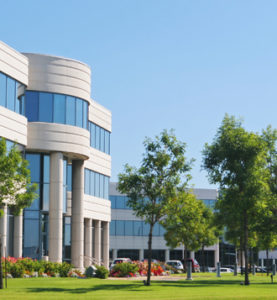 commercial lawn fertilization and weed control, denver tree service