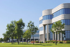 Commercial lawn fertilization and weed control, commercial tree service