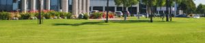 Commercial Lawn Care