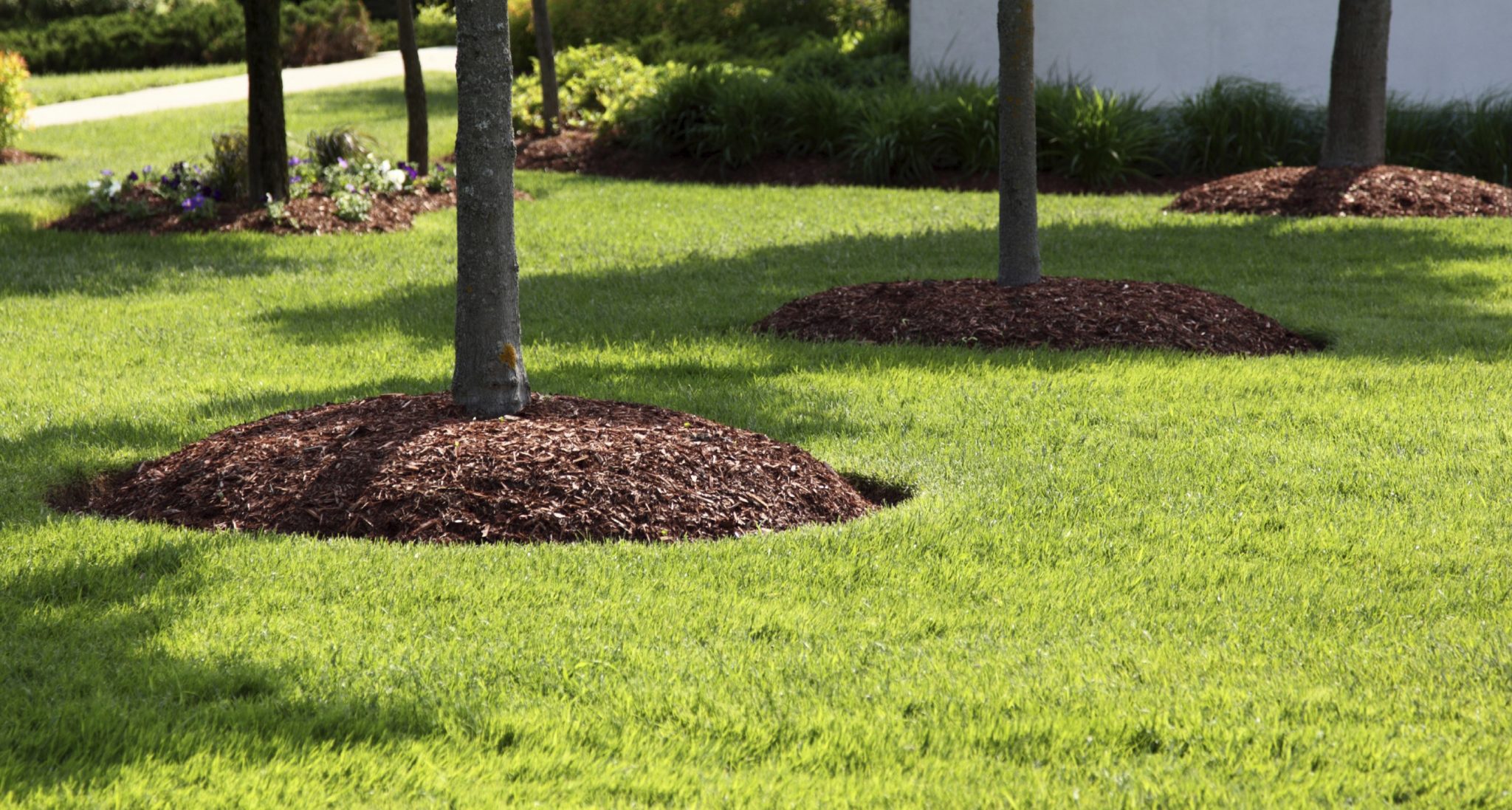 Image result for Advantages of Having a Lawn Care Company istock