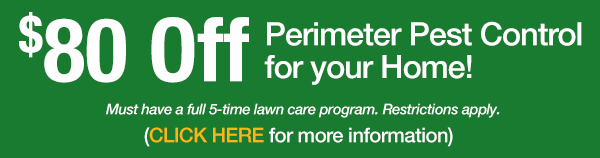 lawn care denver, lawn care, pest control, insect control