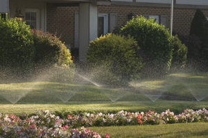 Summer Sprinkler System Inspection & Tune Up - The time is now!