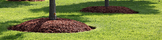 Spring Landscaping Tip Apply Mulch