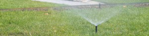 Spring Landscaping Tip Inspect Irrigation