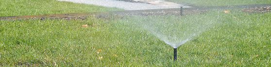 Spring Landscaping Tip Inspect Irrigation