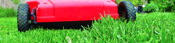Spring Landscaping Tip - Sharpen Your Mower Blade