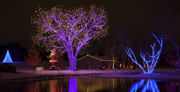 Professional Christmas Lights Installation Hudson Gardens