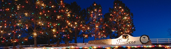 holiday lighting for commercial properties