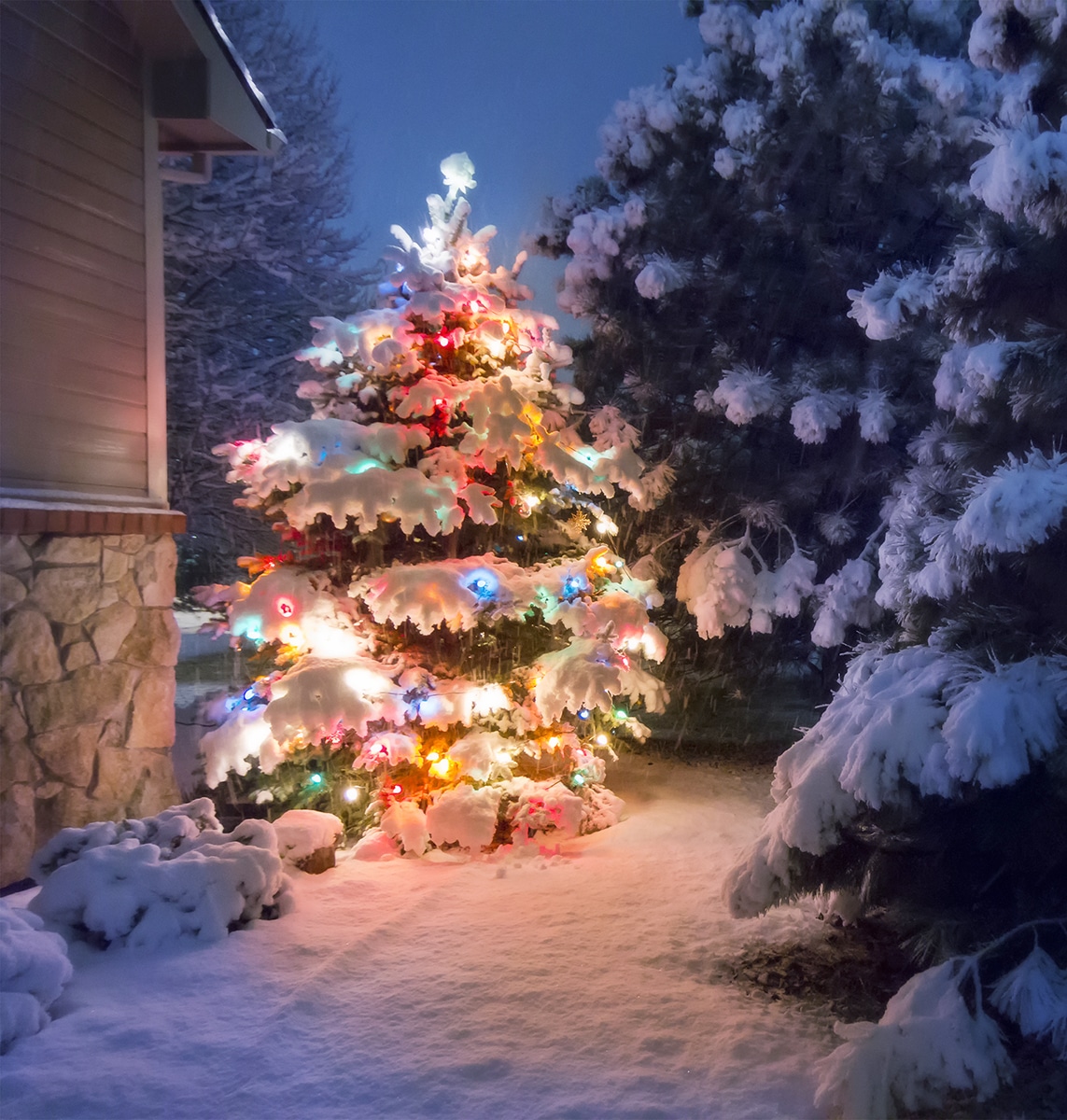 Winter Christmas Tree - Swingle Landscape, Lawn Care & Tree Service
