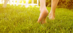 Denver Lawn Aeration Services